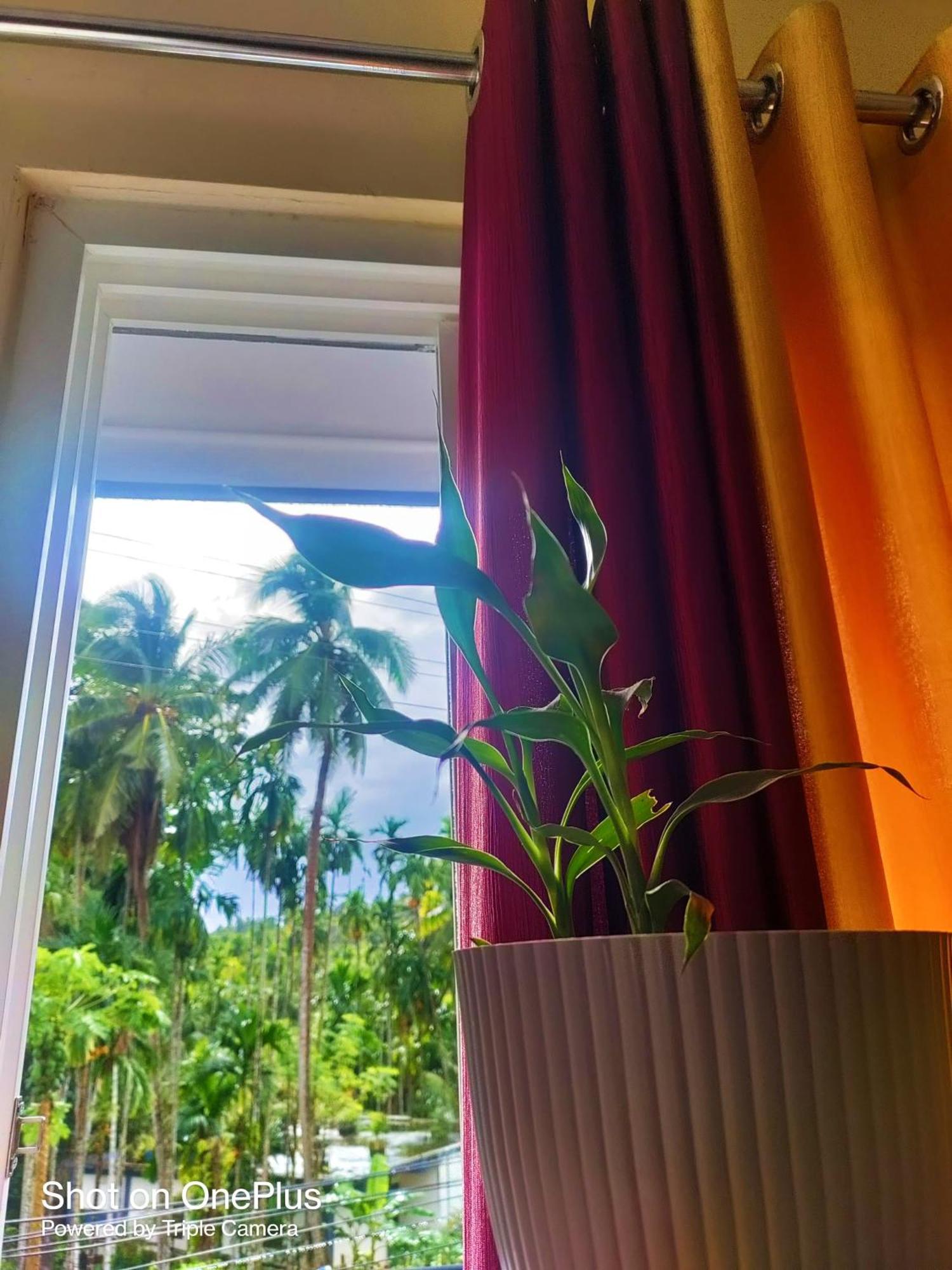 Hilton Garden Homestay Port Blair Exteriör bild